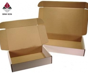 THÙNG CARTON NẮP ĐẬY